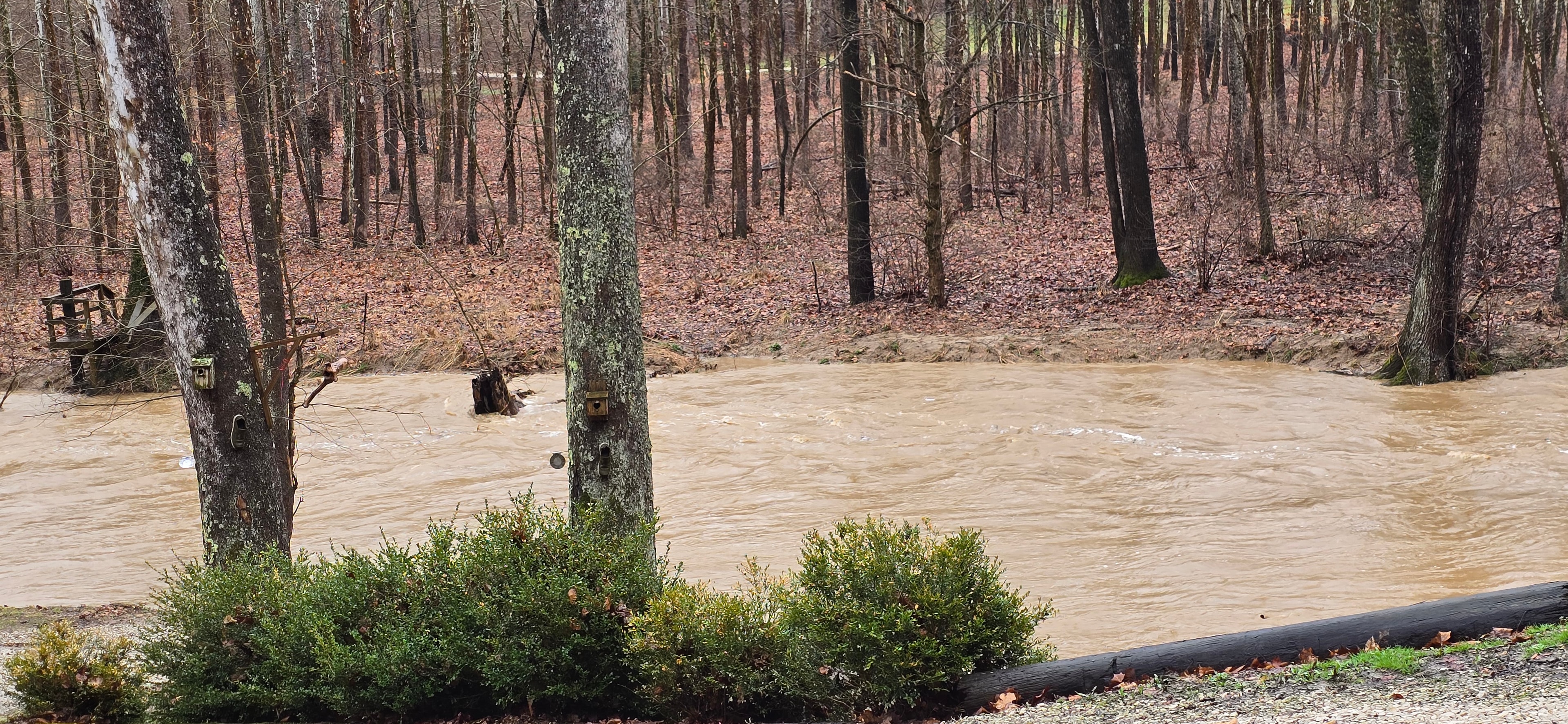 The Daily Creek Report outdoors
